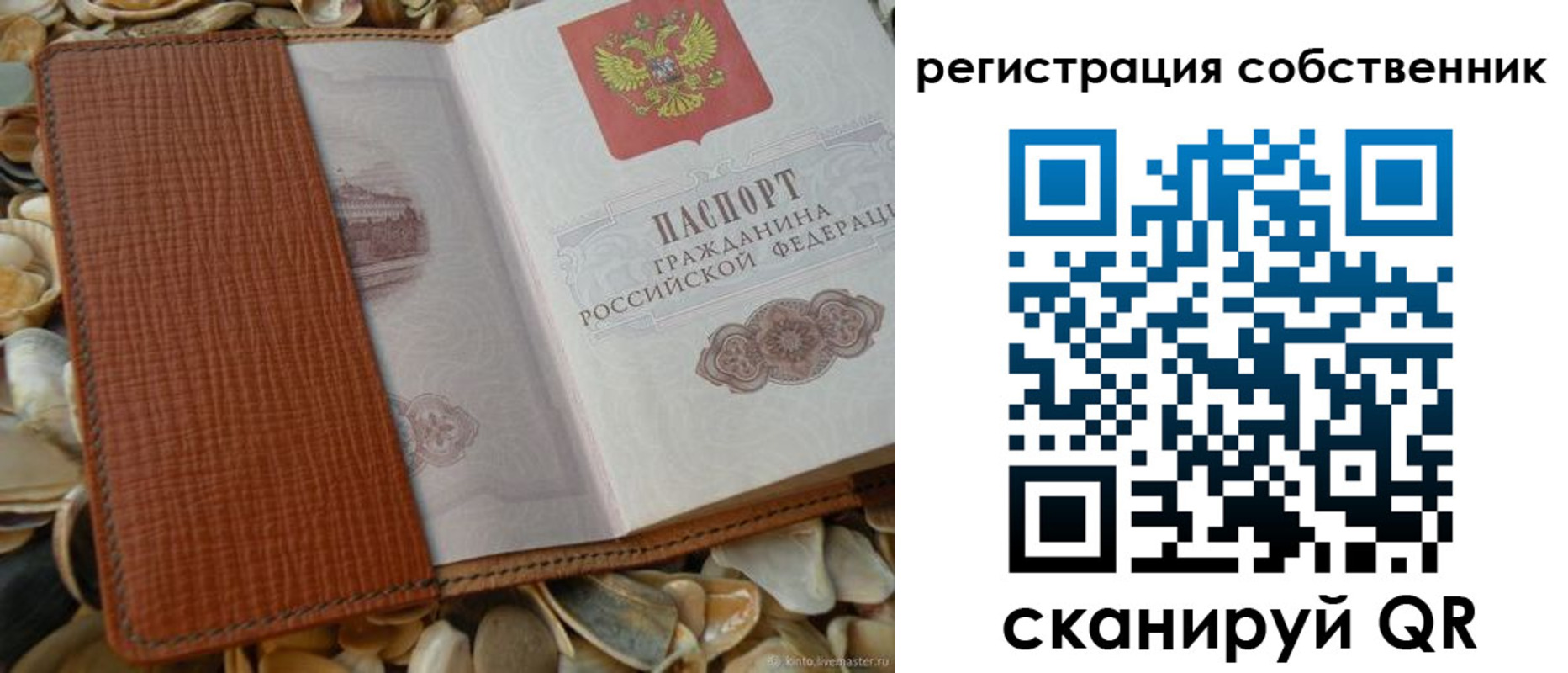 временная регистрация для школы в Купино